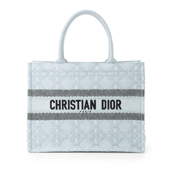Dior Blue Book Bag Tote - Picture 1 of 8